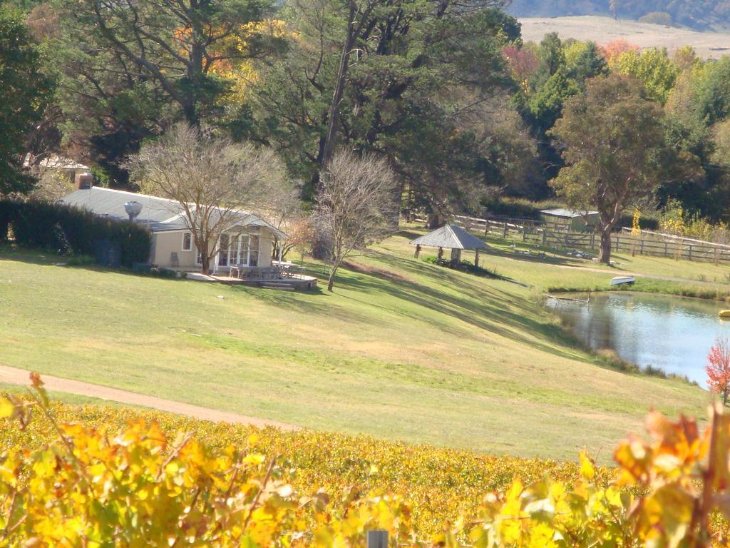 Mayfield Vineyard Ориндж Экстерьер фото